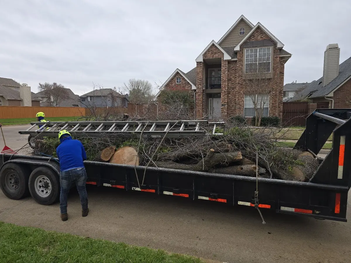 Expert Lot Clearing with proper safety equipment in Chilcoot